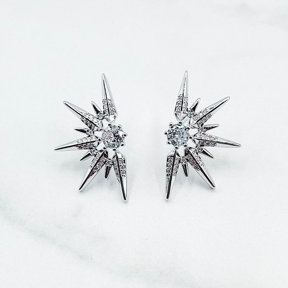 Gorgeous Earrings